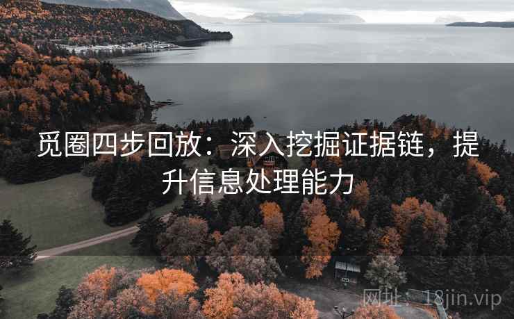 觅圈四步回放:深入挖掘证据链,提升信息处理能力 觅圈四步回放:深入挖掘证据链,提升信息处理能力